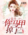 小说沈蓝桉周瑾by小彩椒全文阅读
